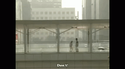 20230420_082801.gif