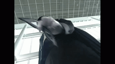 20230422_033902.gif