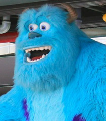 6---Sulley.jpg