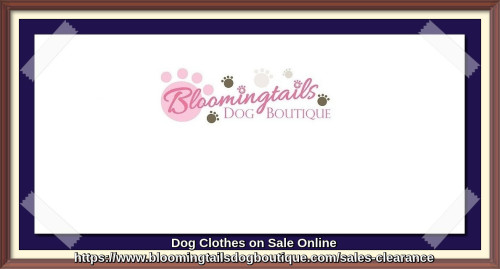 Dog-Clothes-on-Sale-Online-bloomingtailsdogboutique.jpg