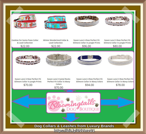 Dog-Collars--Leashes-from-Luxury-Brands-bloomingtailsdogboutique.jpg