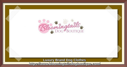 We bring you some of the best in the market online for your dog, after wear it your dog’s comfort and good looks.     https://bit.ly/3L9hN4m