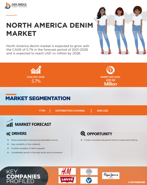 North-America-Denim-Market.jpg