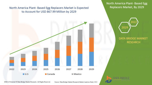 North-America-Plant-Based-Egg-Replacers-Market.jpg