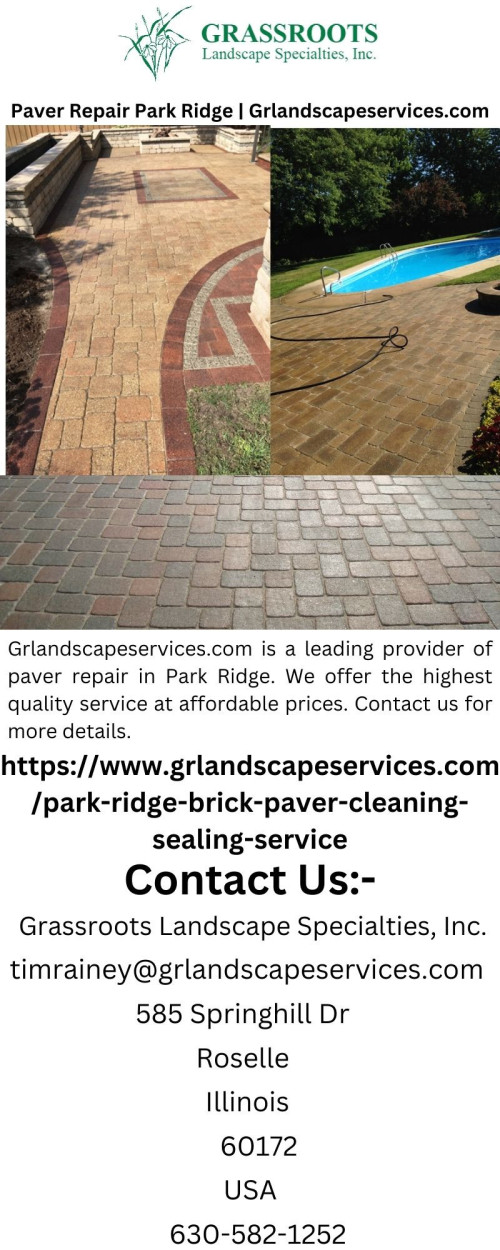 Paver-Repair-Park-Ridge-Grlandscapeservices.com.jpg