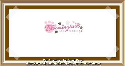 Pet-Costumes-for-Small-Dogs-bloomingtailsdogboutique.jpg