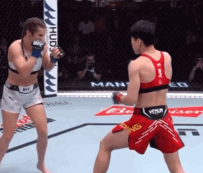 S13pa.gif