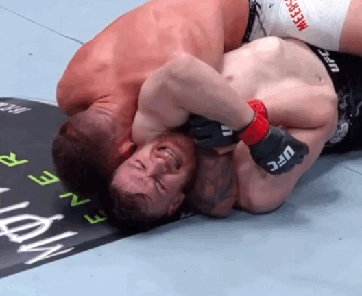 S13pt.gif