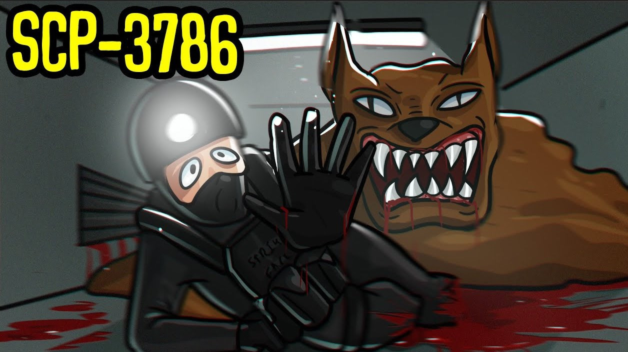 S1Tjg.jpg