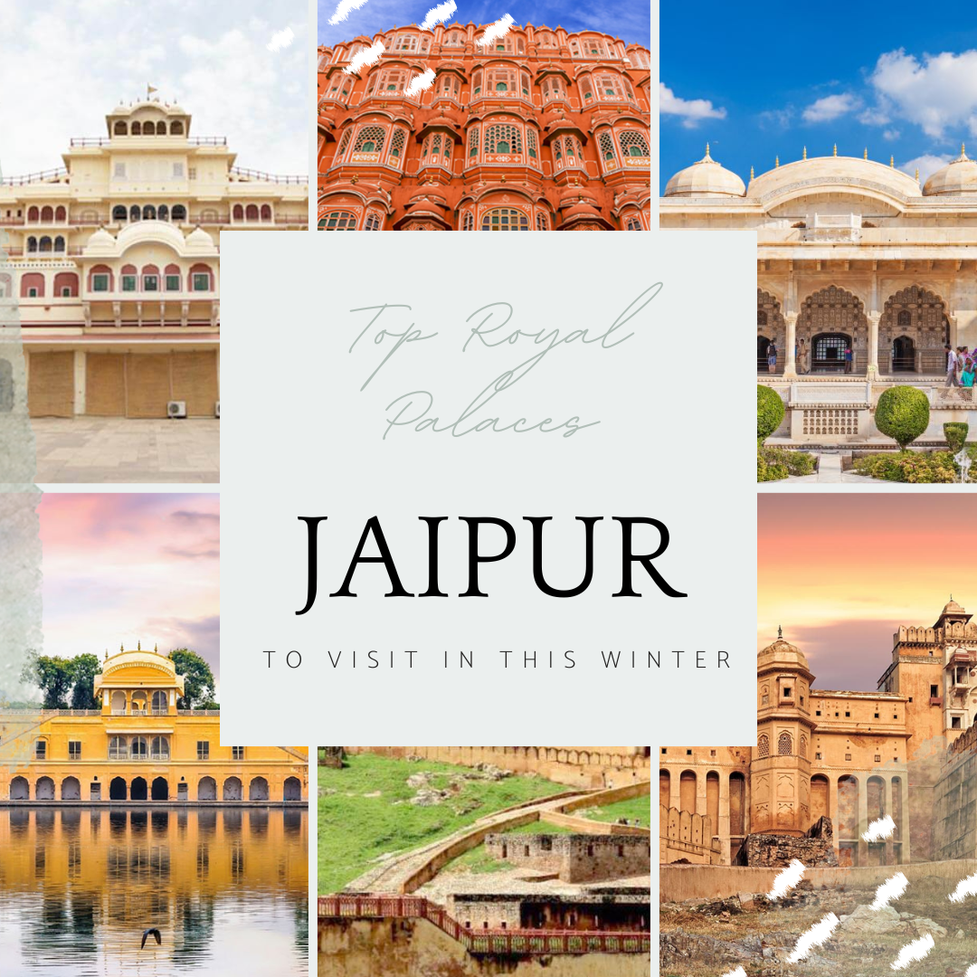 Royal Palace to visit in Jaipur in 2024 Find the top 5 palace to visit in jaipur