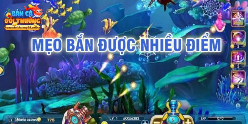 Thủ thuật chơi game bắn cá đổi thưởng hiệu quả được chúng tôi tổng hợp chi tiết và đầy đủ. Khi bạn vận dụng linh hoạt các mẹo săn bắn sẽ gia tăng tỷ lệ chiến thắng và thành công nhận được khoản thưởng lớn. Cụ thể bạn hãy cùng Bancadoithuong68.online theo dõi nội dung.
#bancadoithuong #banca #bancadoithuong68online