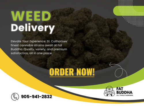 Are you looking for a convenient way to access cannabis? Look no further than ST Catharines weed delivery services that bring your favorite products right to your doorstep. we'll explore the world of cannabis delivery in St. Catharines, making it easier for you to find the perfect option that suits your needs.

Official Website : https://fatbuddha.ca

Fat Buddha
Address: St Catharines,ON L4M2E3, Canada
Phone: 905-941-2832

Find Us On Google Map : https://goo.gl/maps/yaoa7XGKQ4Gdvn5K7

Business Site: https://fat-buddha.business.site

Our Profile: https://gifyu.com/fatbuddha

More Images :
https://tinyurl.com/24saf3rw
https://tinyurl.com/ury2yzvh
https://tinyurl.com/tz4rfv9n
https://tinyurl.com/bdd25b7r