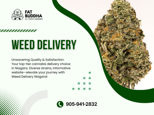 We understand that convenience is vital in weed delivery Niagara falls. That's why we've streamlined our ordering process to make it easy for our customers. With just a few clicks on our user-friendly website, you can browse our extensive catalog, select your desired products, and place your order.

Official Website : https://fatbuddha.ca

Fat Buddha
Address: St Catharines,ON L4M2E3, Canada
Phone: 905-941-2832

Find Us On Google Map : https://goo.gl/maps/yaoa7XGKQ4Gdvn5K7

Business Site: https://fat-buddha.business.site

Our Profile: https://gifyu.com/fatbuddha

More Images :
https://tinyurl.com/5n6s8pa3
https://tinyurl.com/2drxu73n
https://tinyurl.com/mvz7mpw5
https://tinyurl.com/4bt5ka8r