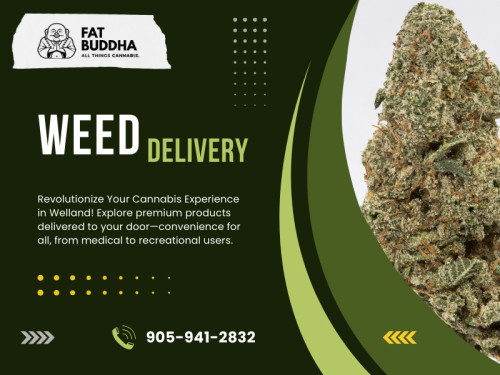 When it comes to weed delivery Welland, one name stands out above the rest – Fat Buddha. As cannabis enthusiasts and connoisseurs ourselves, we understand the importance of quality, convenience, and exceptional service. 

Official Website : https://fatbuddha.ca

Fat Buddha
Address: St Catharines,ON L4M2E3, Canada
Phone: 905-941-2832

Find Us On Google Map : https://goo.gl/maps/yaoa7XGKQ4Gdvn5K7

Business Site: https://fat-buddha.business.site

Our Profile: https://gifyu.com/fatbuddha

More Images :
https://tinyurl.com/5n6s8pa3
https://tinyurl.com/5avy54s
https://tinyurl.com/2drxu73n
https://tinyurl.com/4bt5ka8r