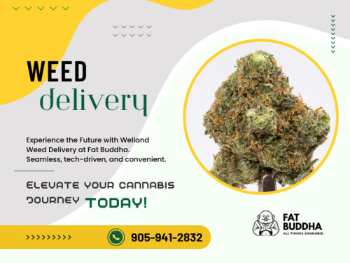 Whether you're seeking medical relief or recreational indulgence, a quick search online can connect you with a Welland weed delivery service near you. In no time, your favorites can be delivered directly to your door! 

Official Website : https://fatbuddha.ca

Fat Buddha
Address: St Catharines,ON L4M2E3, Canada
Phone: 905-941-2832

Find Us On Google Map : https://goo.gl/maps/yaoa7XGKQ4Gdvn5K7

Business Site: https://fat-buddha.business.site

Our Profile: https://gifyu.com/fatbuddha

More Images :
https://tinyurl.com/5n6s8pa3
https://tinyurl.com/5avy54s
https://tinyurl.com/2drxu73n
https://tinyurl.com/mvz7mpw5