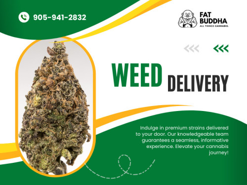 One of the most significant advantages of Weed delivery Niagara Falls services is the extensive selection of products available. Dispensaries may need more shelf space, restricting the variety of strains, edibles, concentrates, and accessories they can offer.

Official Website : https://fatbuddha.ca

Fat Buddha
Address: St Catharines,ON L4M2E3, Canada
Phone: 905-941-2832

Find Us On Google Map : https://goo.gl/maps/yaoa7XGKQ4Gdvn5K7

Business Site: https://fat-buddha.business.site

Our Profile: https://gifyu.com/fatbuddha

More Images :
https://tinyurl.com/5avy54s
https://tinyurl.com/2drxu73n
https://tinyurl.com/mvz7mpw5
https://tinyurl.com/4bt5ka8r