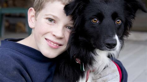 are border collies good with kids