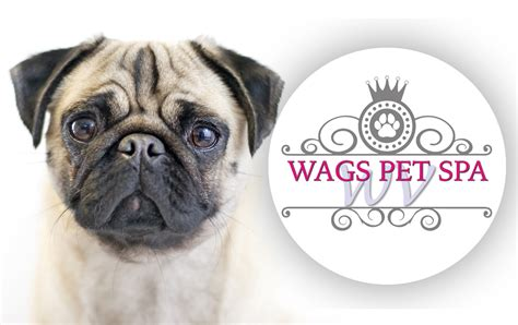 Wags Pet Spa in Wolverhampton, UK