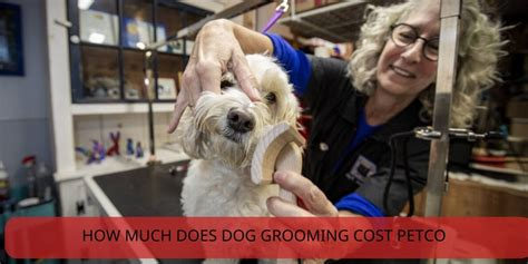 how much does dog grooming cost at petco