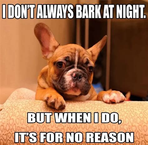 French Bulldog Memes