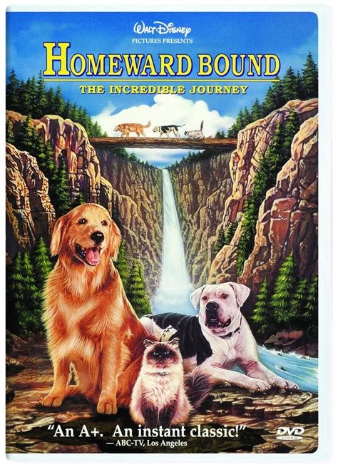 Homeward Bound: The Incredible Journey