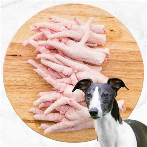 are chicken feet good for dogs