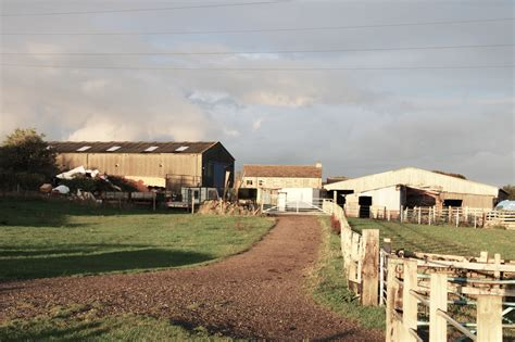 Durham Dogs at Moor House Farm