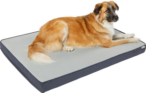 frisco cooling orthopedic pillow dog bed with removable cover