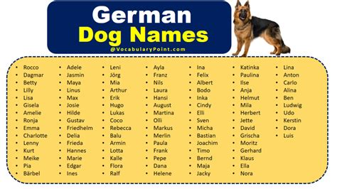 boy military german shepherd names