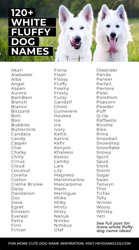 dog names for white dogs male