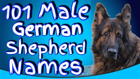 big dog names male german shepherd