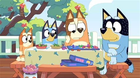 can dogs really see bluey tv show