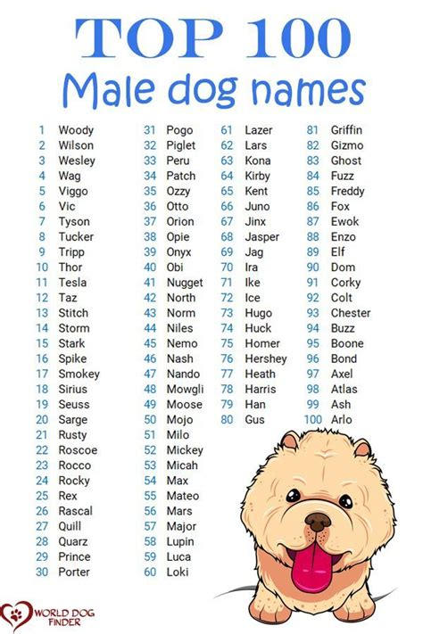 cute male dog names hispanic