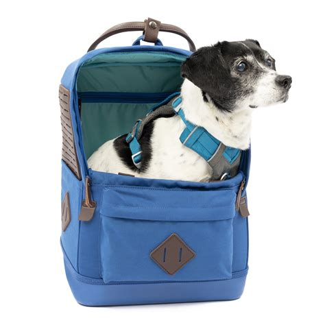 Ruffwear Approach Pack