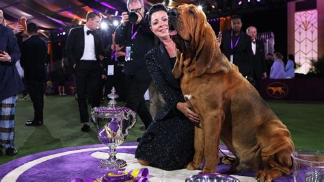 westminster kennel club dog show 2022 breed results