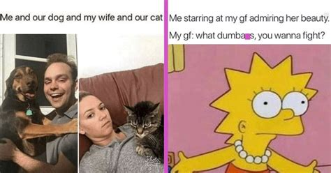 black cat gf golden retriever bf meme