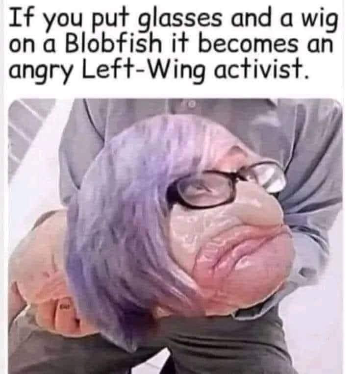 [Image: SBoNk.jpg]