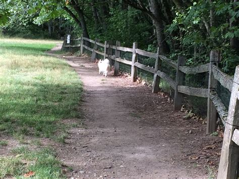 Grandview Off-Leash Park