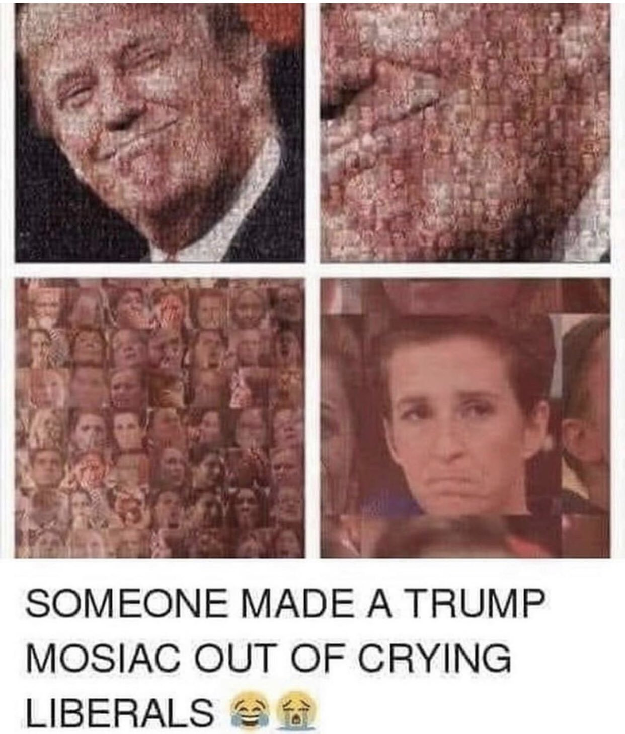 [Image: SGMj4.jpg]