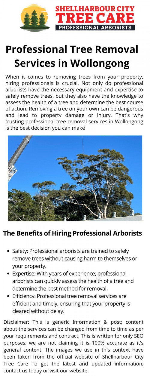 Professional Tree Removal Services in Wollongong