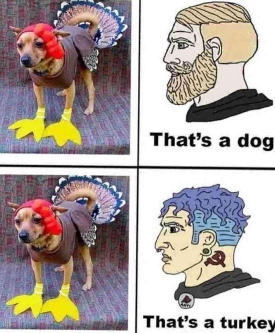 [Image: SGzys.jpg]