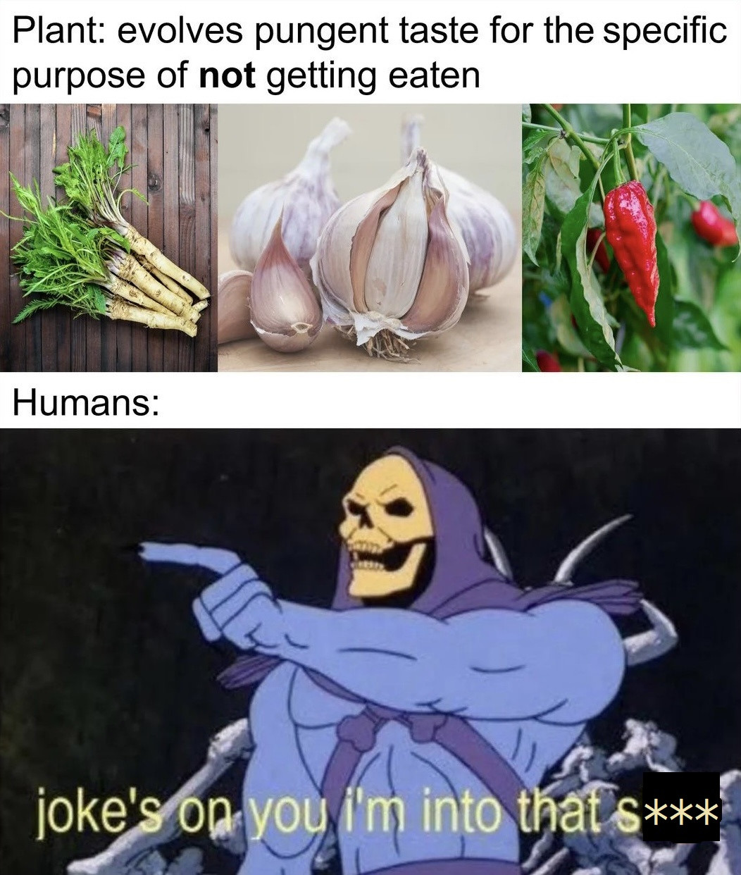 [Image: SOD3A.jpg]