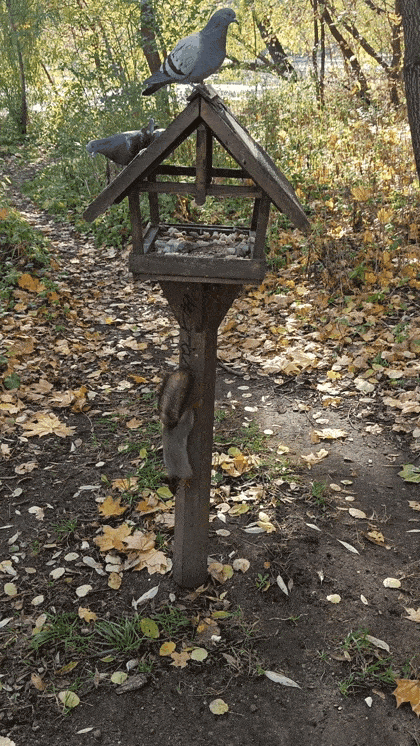 SOHTc.gif