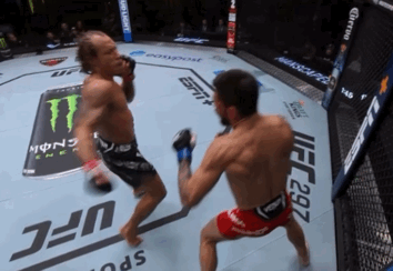 SOiZ1.gif