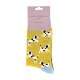 SPA-DOG-1-Dalmatians-Yellow