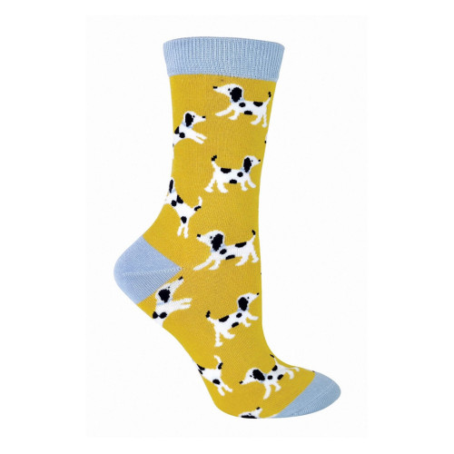 SPA-DOG-1-Dalmatians-Yellow18c5befd2724ade9.jpg