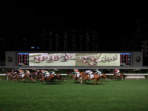 Horse racing betting is a game closely associated with this sport and has been popular for a long time, gaining increasing popularity and attracting a large number of enthusiasts. To participate in this game, players simply place their bets on the horse they believe will win the horse race. Players receive a large reward if the horse they bet on wins. Nowadays, horse racing betting has developed into an online format, with payments and rewards being processed through bank accounts.
see more: https://fr.quora.com/profile/Wintips-Com/What-is-horse-racing-betting-The-origin-of-the-game-https-wintips-com-a-guide-on-how-to-play-standard-online-horse-r
#wintips #wintipscom #footballtipswintips #soccertipswintips #reviewbookmaker #reviewbookmakerwintips #bettingtool #bettingtoolwintips