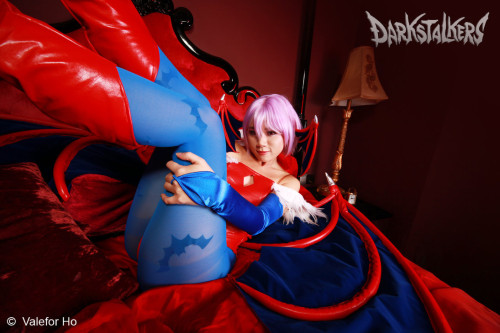 Darkstalkers Succubus Lilith by sakana