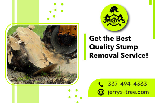 Say bye-bye to stubborn stumps for good! At Jerry's Tree Service, our super-trained stump removal in Lake Charles, Louisiana, makes yard maintenance a breeze. Don't let unsightly stumps ruin your landscape, trust our well-versed team to drag them safely and efficiently. Drop a quote today!