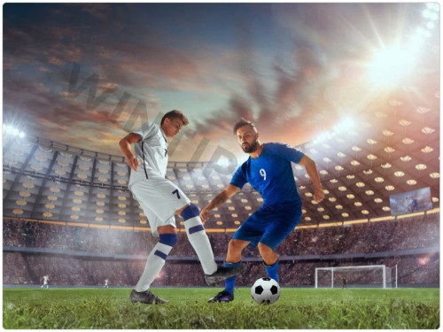 Nowadays, with the development of technology, many new games have emerged in the betting market, including virtual football. So what is virtual football? What are some effective ways to play virtual football? https://wintips.com/ will provide all the information about this sport in the following article.

see more:https://wintips.com/how-to-play-the-best-virtual-football-at-a-reputable-bookmaker/
